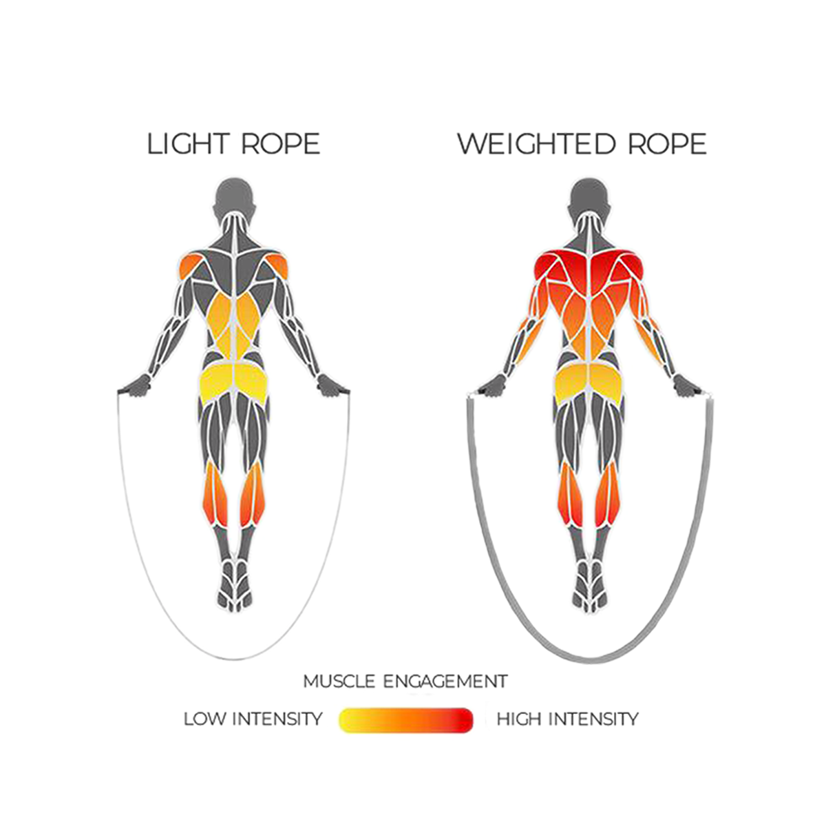 Weighted Jump Rope